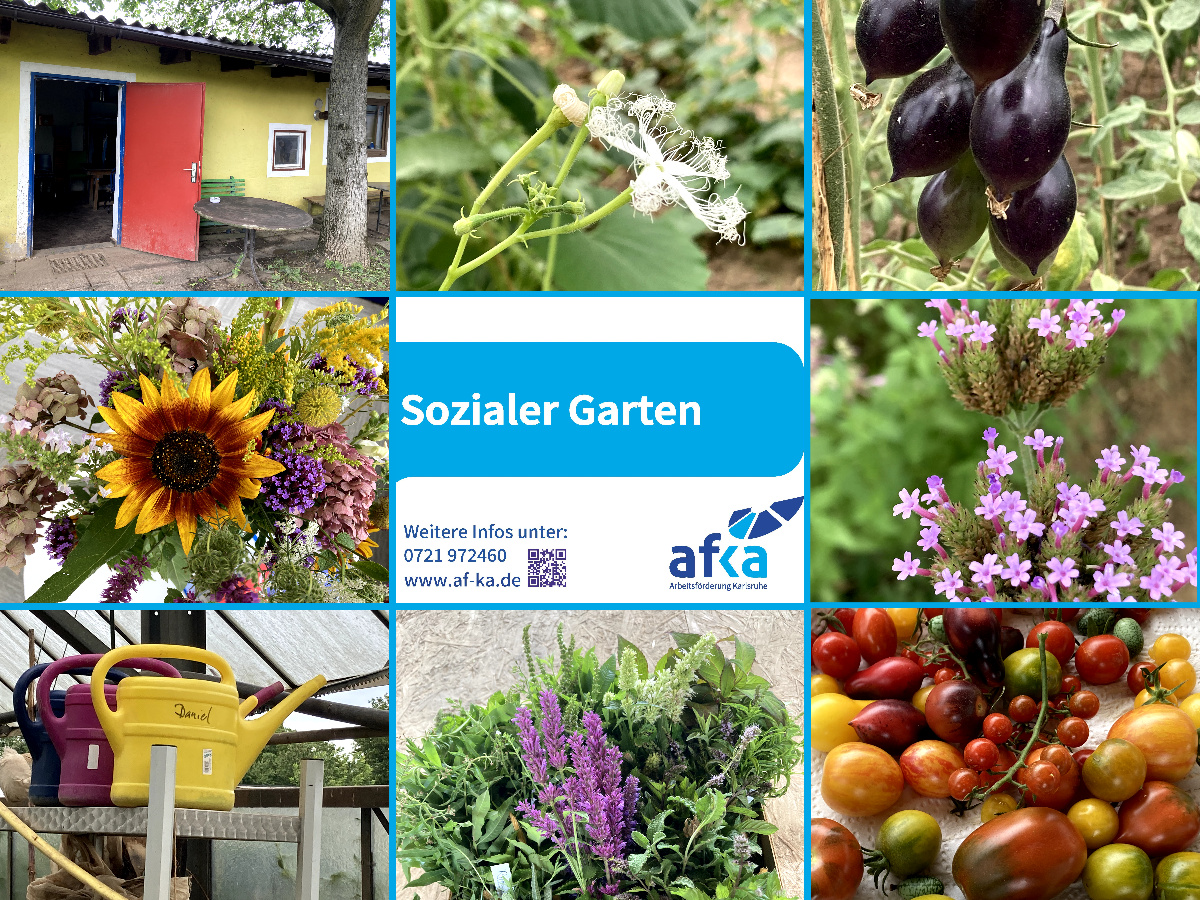 collage blauer rand mit schild